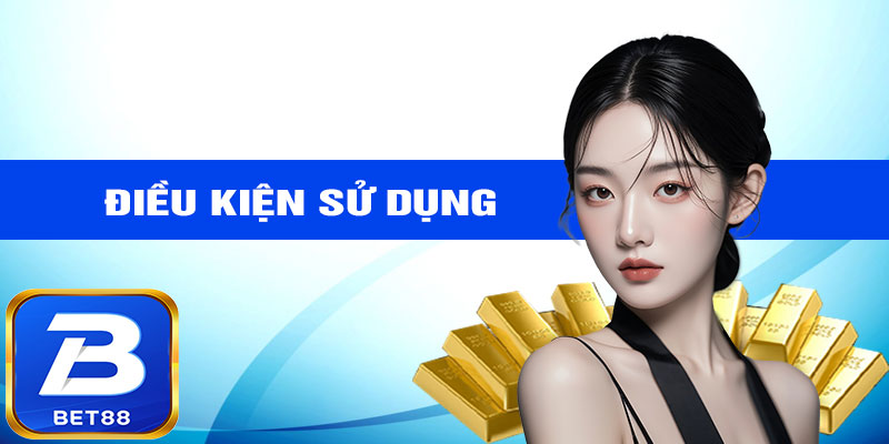 Điều khoản sử dụng